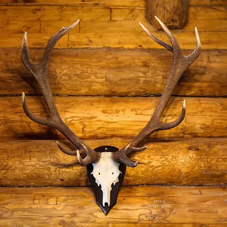 Holzhaus Wildsbergblick Beisefoerth