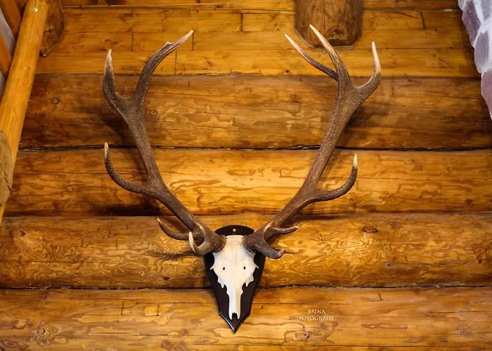 Holzhaus Wildsbergblick Beisefoerth